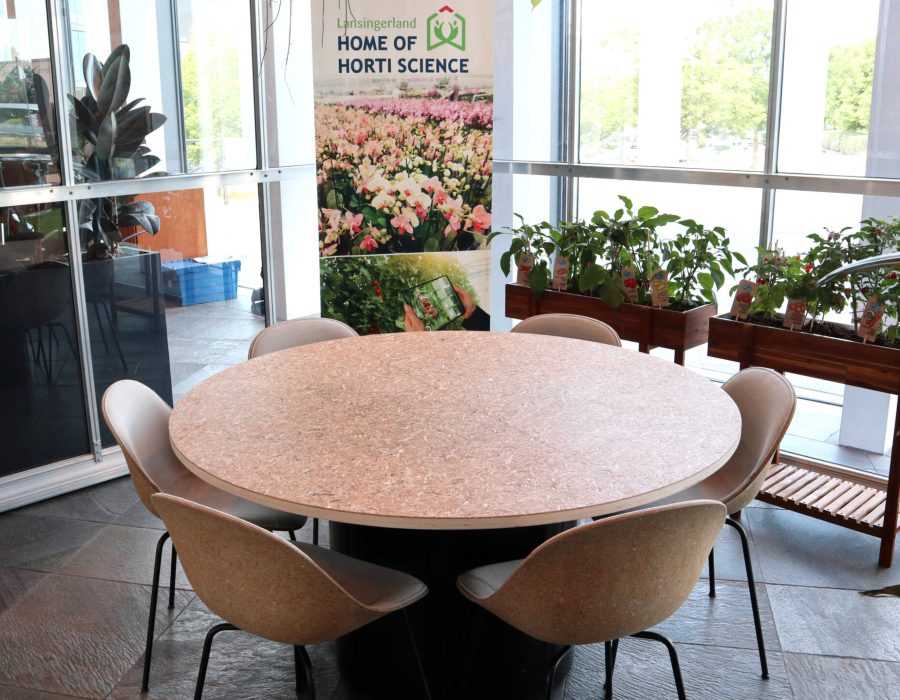 21_Gemeente Lansingerland_freesia bladeren