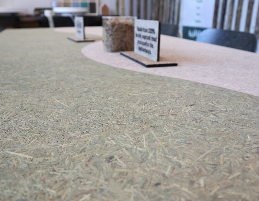 3. FytoPanel Vergadertafel_VanHier_Biophilic Design Academy